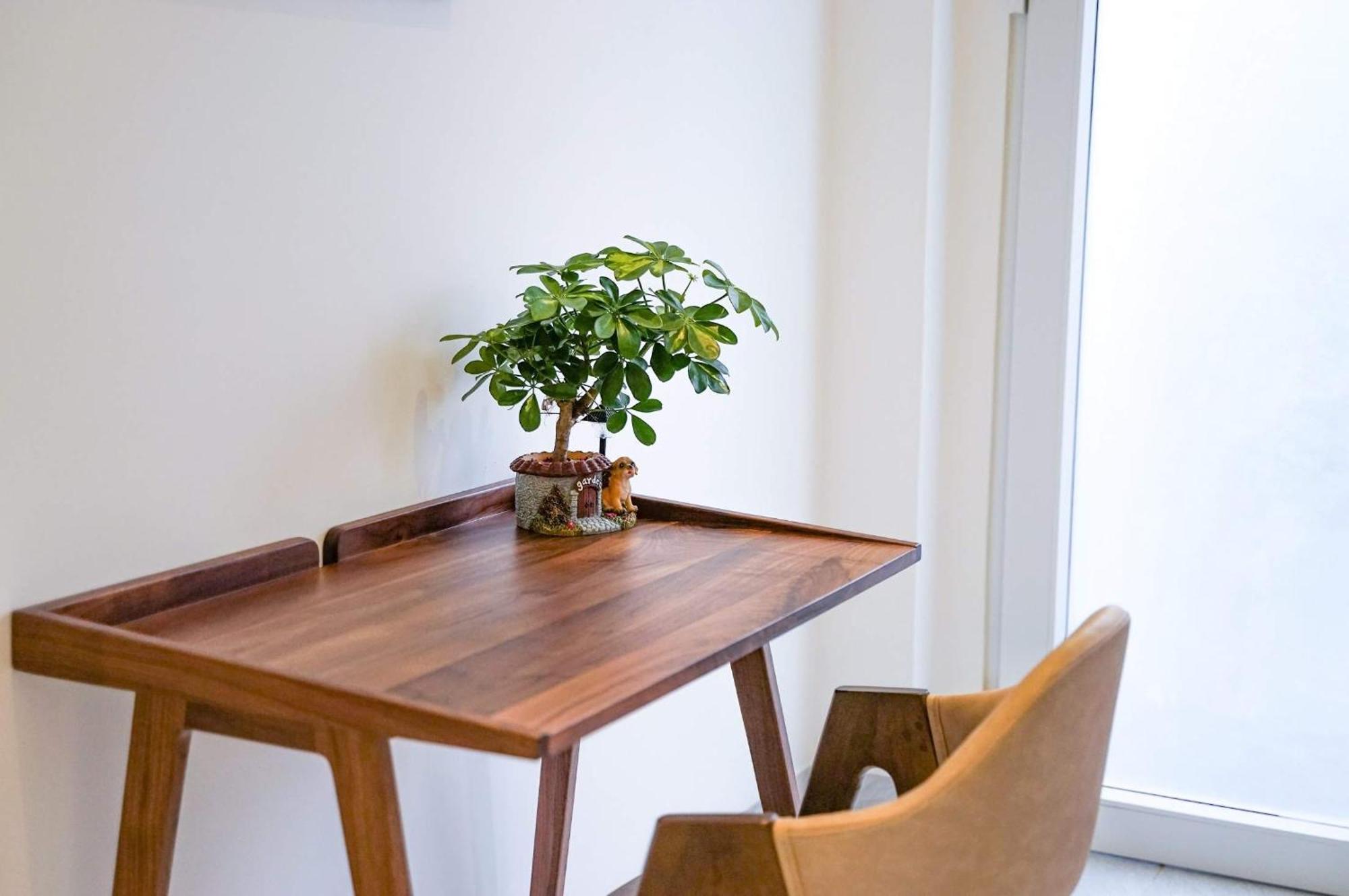 Local White House - Ecofriendly Homestay Ντα Νανγκ Εξωτερικό φωτογραφία