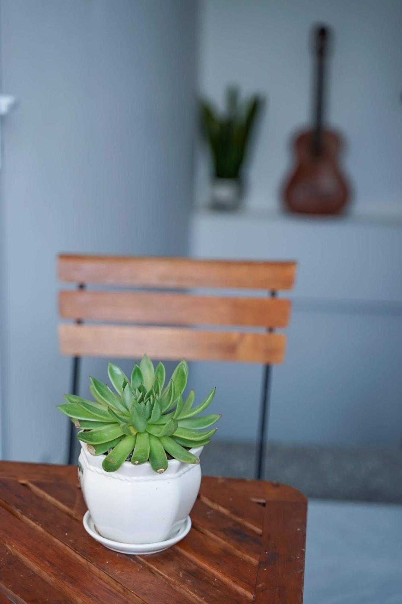 Local White House - Ecofriendly Homestay Ντα Νανγκ Εξωτερικό φωτογραφία