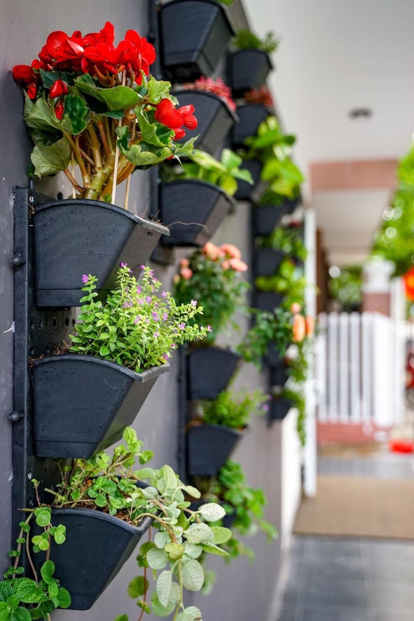 Local White House - Ecofriendly Homestay Ντα Νανγκ Εξωτερικό φωτογραφία